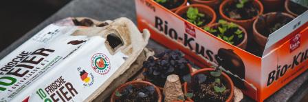 Labeled boxes with nursery plants