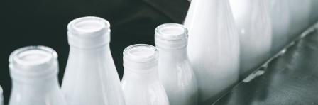 Lined up milk bottles