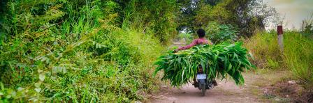 Farmer on a bike