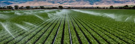 Irrigation