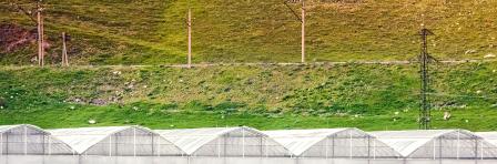 Outside view of greenhouse at the foot of the mountain