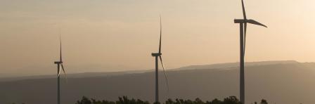 Wind turbines on sunny morning