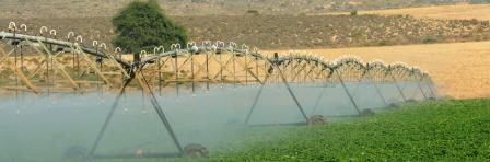 Water efficient agro-processing solutions 