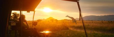 Woman rests after safari in luxury tent during sunset camping in the African savannah of Serengeti National Park, Tanzania. Woman Camping Tent Savanna Outdoors Concept