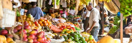 Fruit processing