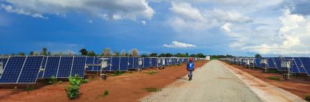 person working on vegetation control on solar site