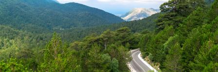 Winding road to the Llogara Pass high in the green wooded mountains. View from the highlands. Cloudy summer landscape. Albania.