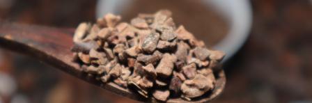 cocoa nibs from fermented cocoa beans cocoa product