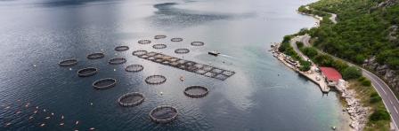 Aquaculture coastal farms