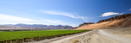 Wide angle view of gravel road next to a huge irrigated grape field and desert mountains on the right side near the town of Aussenkehr in southern Namibia near the South African border. Fenced fields.