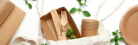 disposable tableware