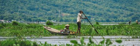 Farmer in a brown boat riding through paddy fields