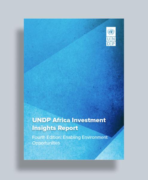Africa Investment Insights Report 2025 Cover Image