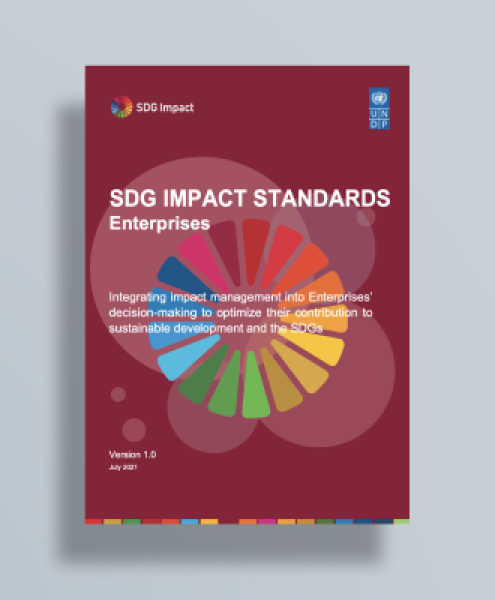 Download the SDG Impact Standards for Enterprises version 1.0