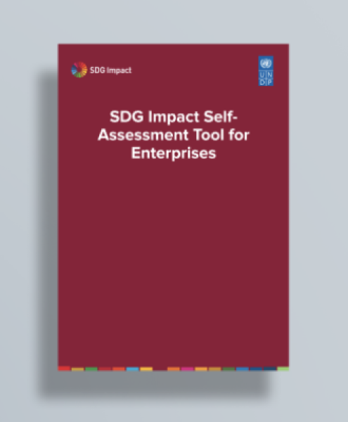 Download the SDG Impact Self-Assessment Tool for Enterprises