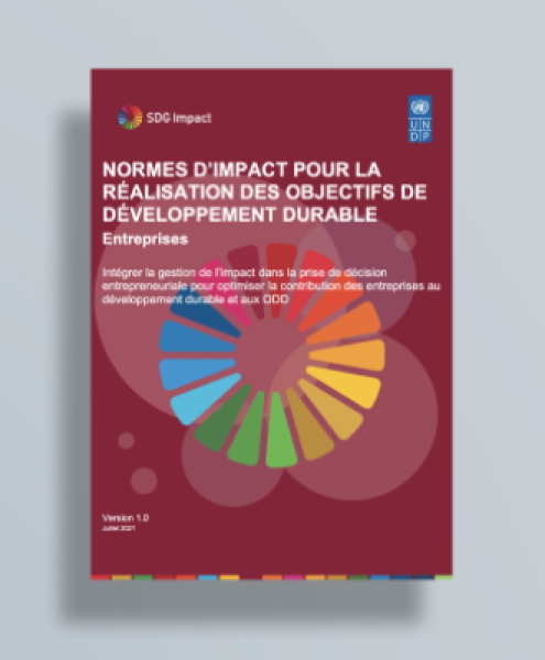 Download the SDG Impact Standards for Enterprises version 1.0 French