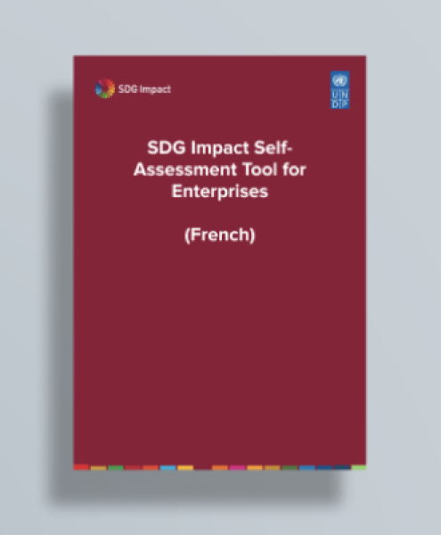 Download the SDG Impact Self-Assessment Tool for Enterprises