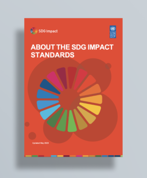 Download About the SDG Impact Standards