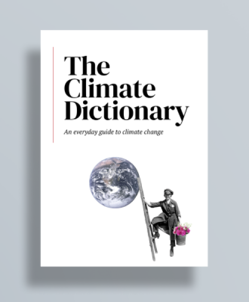 The Climate Dictionary: An everyday guide to climate change by UNDP Climate Promise