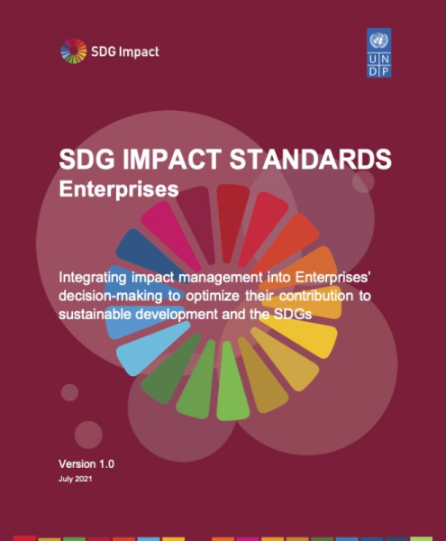 SDG Impact Standards for Enterprise