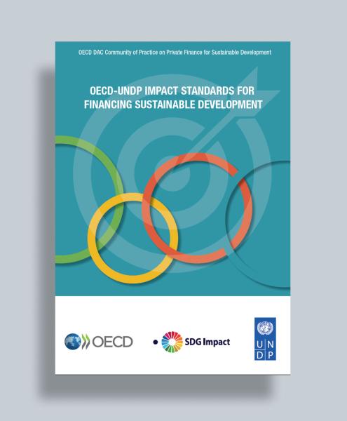 OECD UNDP Impact 