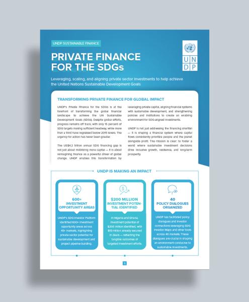 Private Finance for the SDGs unit overview brochure