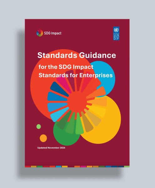 Standards Guidance SDG Impact Standards Enterprises Cover Image November 2024