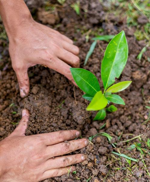 Climate Change UNDP Costa Rica