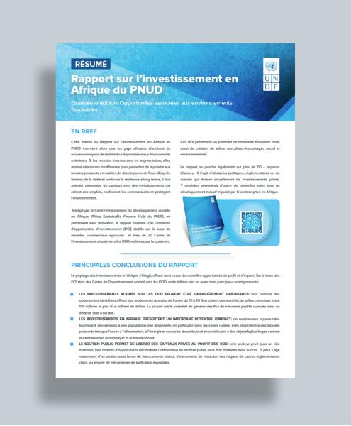 Résumé : Rapport sur l’investissement en Afrique du PNUD