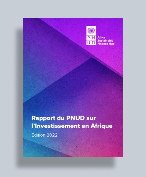 Rapport du PNUD sur l’investissement en Afrique 2022