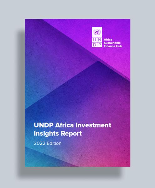 UNDP Africa Investment Insights Report, Second Edition 