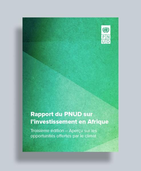 Rapport du PNUD sur l’investissement en Afrique, Troisième édition – Aperçu sur les opportunités offertes par le climat