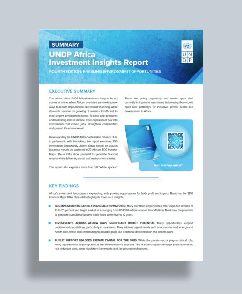 Summary: UNDP Africa Investment Insights Report 2025