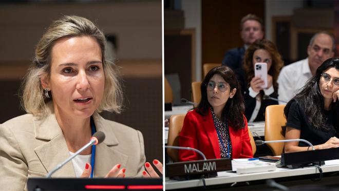Şebnem Şener, Head of Private Finance for the SDGs at UNDP