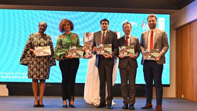 Mauritius SDG Investor Map Launched