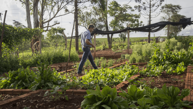 Sustainable soya production in Paraguay