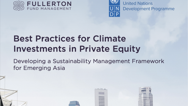 Fullerton-UNDP publication