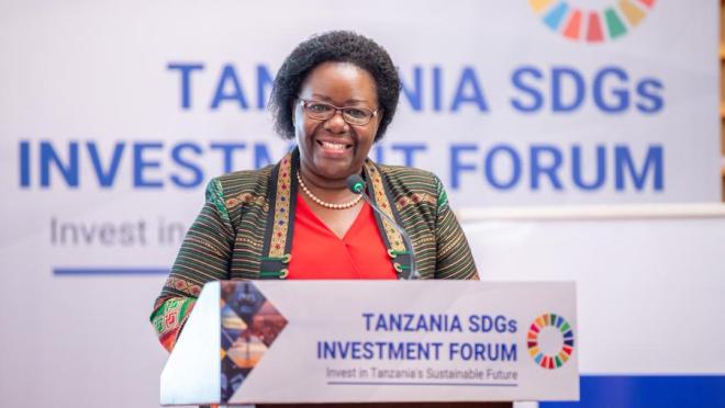 Tanzania SDG Investment Forum