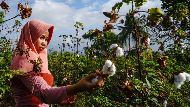 Source: UNDP Indonesia - Indonesia SDG Investor Map Launches