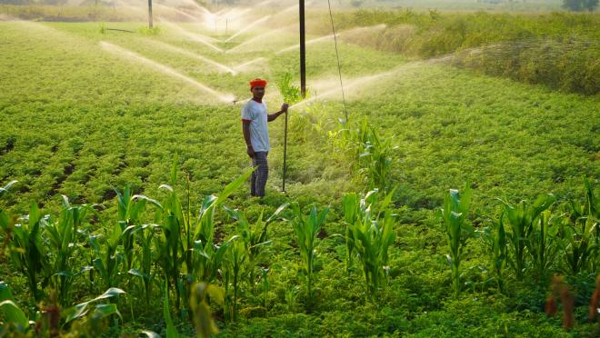 Farmer in a field - Photo: Envato / crshelare