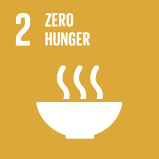 Zero Hunger (SDG 2)