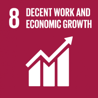 Decent Work and Economic Growth (SDG 8)