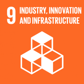 Industry, Innovation and Infrastructure (SDG 9)