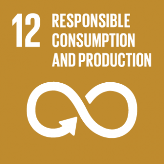 Responsible Consumption and Production (SDG 12)