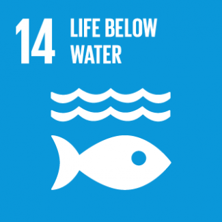 Life Below Water (SDG 14)