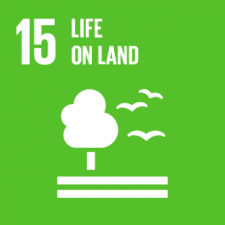 Life on Land (SDG 15)